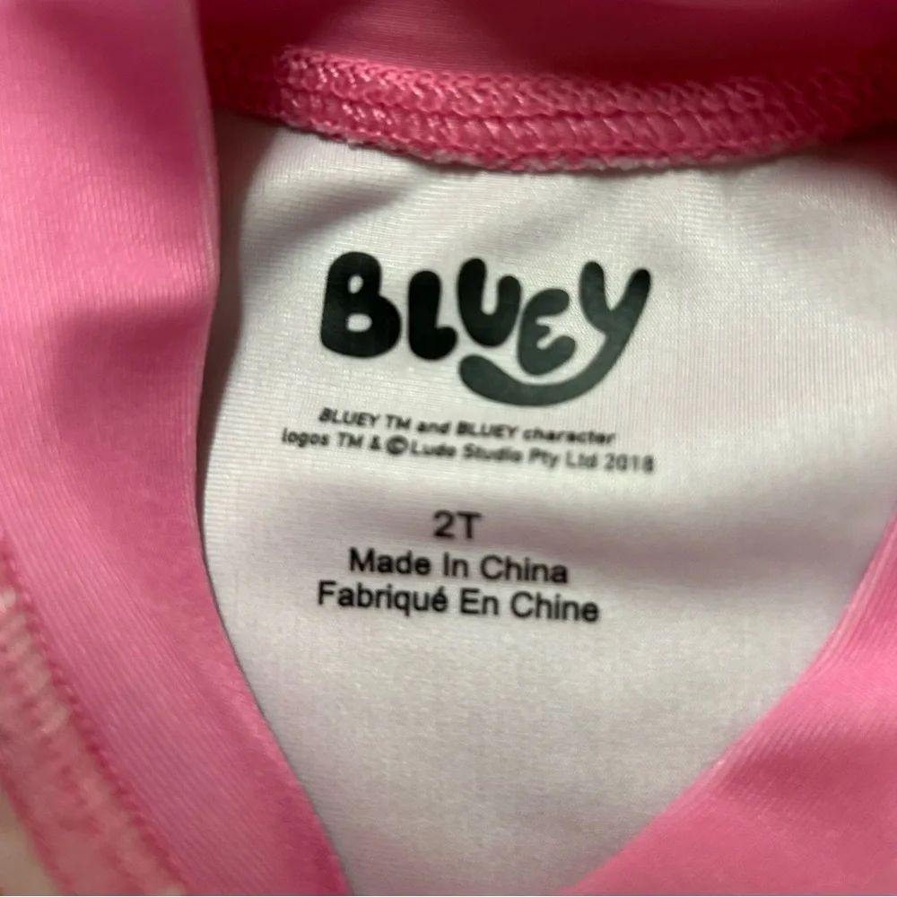 Bluey Rashguard - Picture 2 of 2